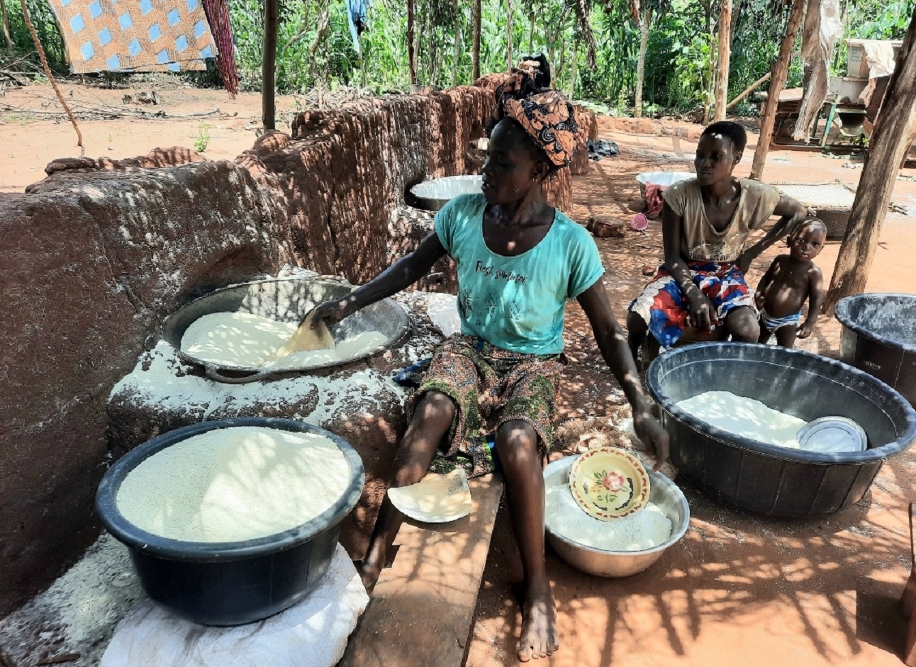 La filière manioc reste plombée par la transformation artisanalePh. : C. PLAGBETO