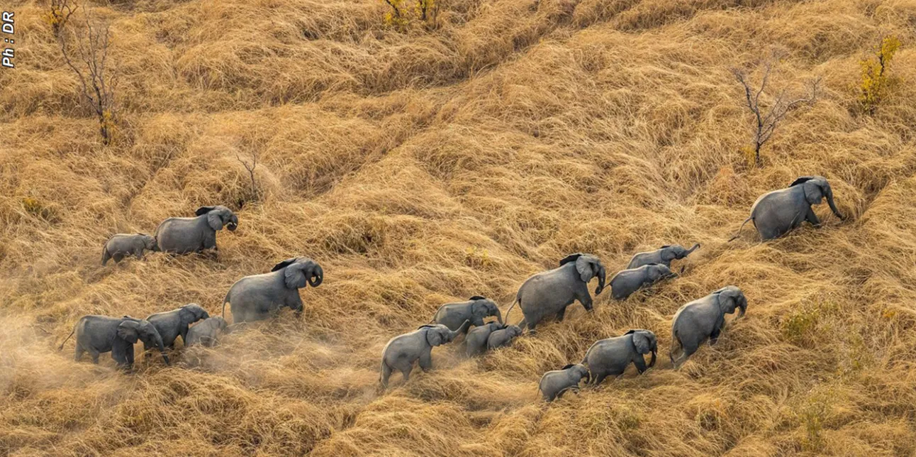 La profession de guide de tourisme sur le sites et dans les parcs aux plans communal  et national désormais encadrée