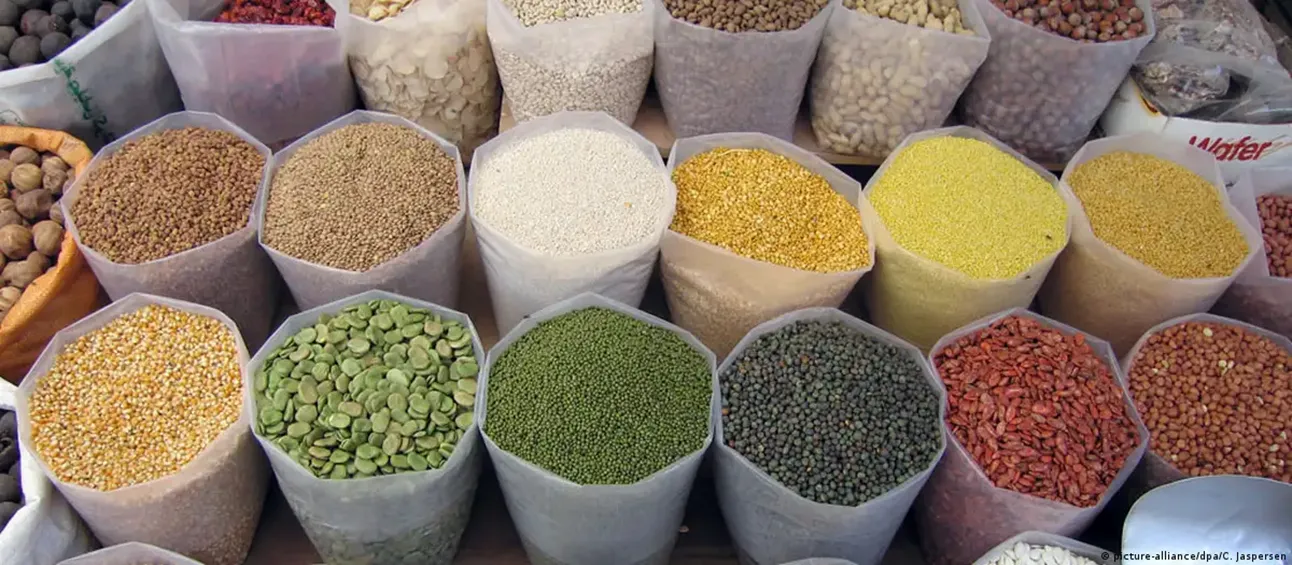 Un nouveau record dans la production céréalière