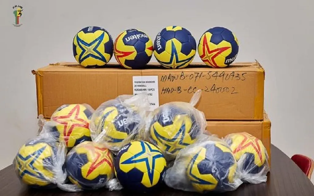 Des lots de ballons de compétition de handball