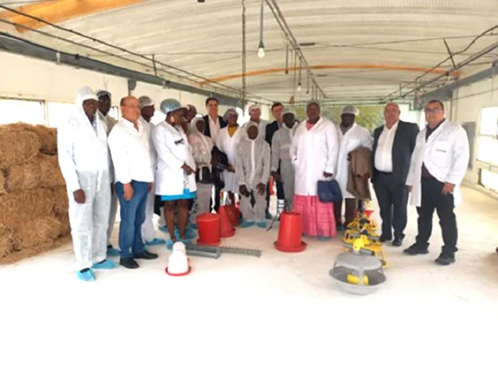 Grâce au partenariat conclu entre la Fédération interprofessionnelle du secteur avicole (Fisa) du Maroc et l’Interprofession avicole du Bénin, 14 professionnels du secteur avicole du Bénin  suivent actuellement une formation à Casablanca