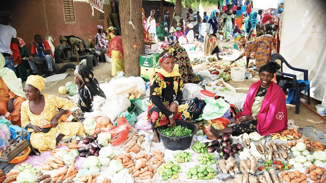 Les efforts des gouvernants combinés aux orientations des institutions sous-régionales en la matière rassurent de ce que  l’espoir est permis