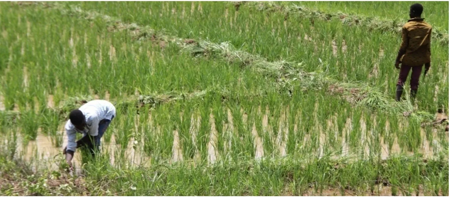 Un nouveau mécanisme pour appuyer les producteurs agricoles