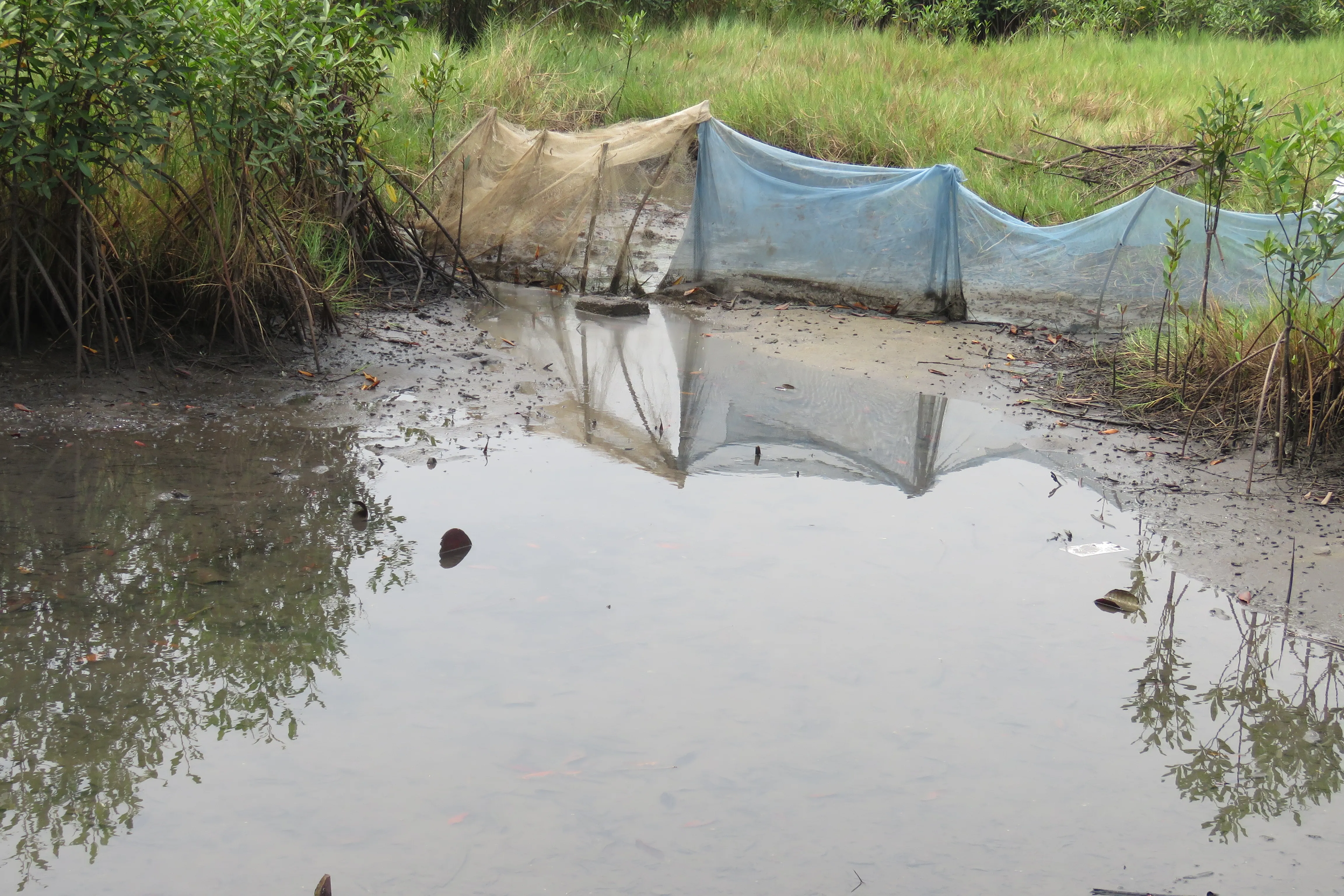 pêche et aquaculture
