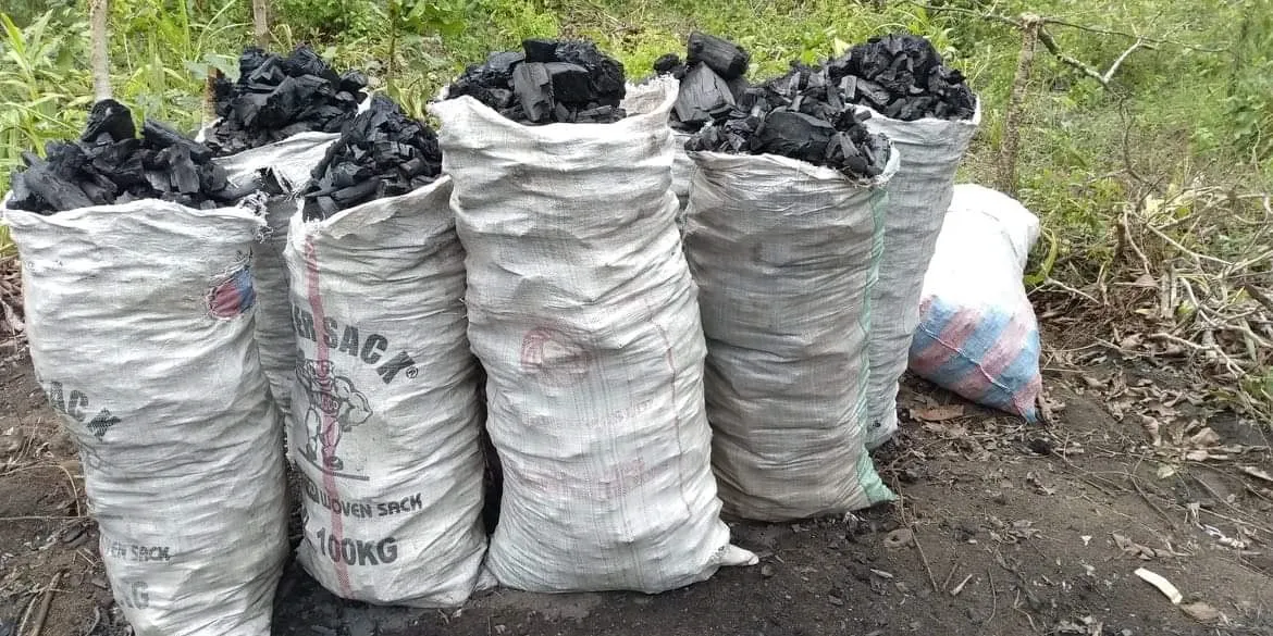 Appel au respect strict des quotas de transport de bois de chauffage et du charbon