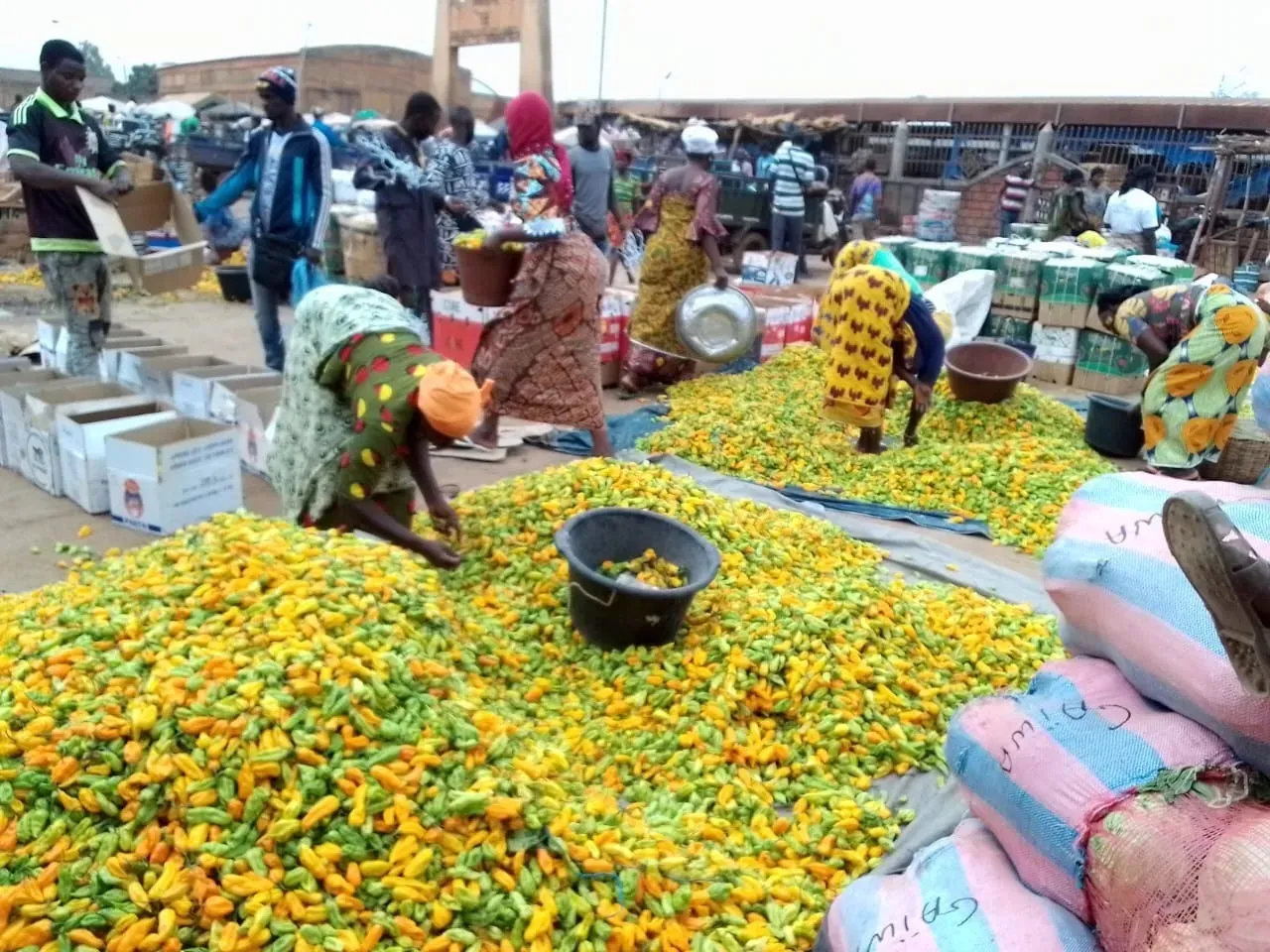 Des variations notées au niveau des prix des denrées  de grande consommation