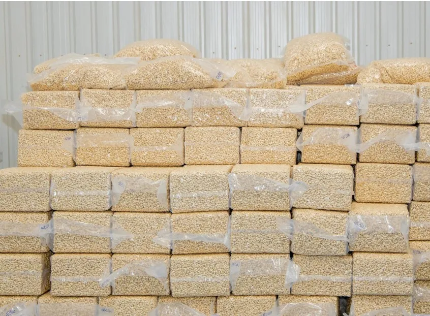 Renforcer la filière de la noix de cajou