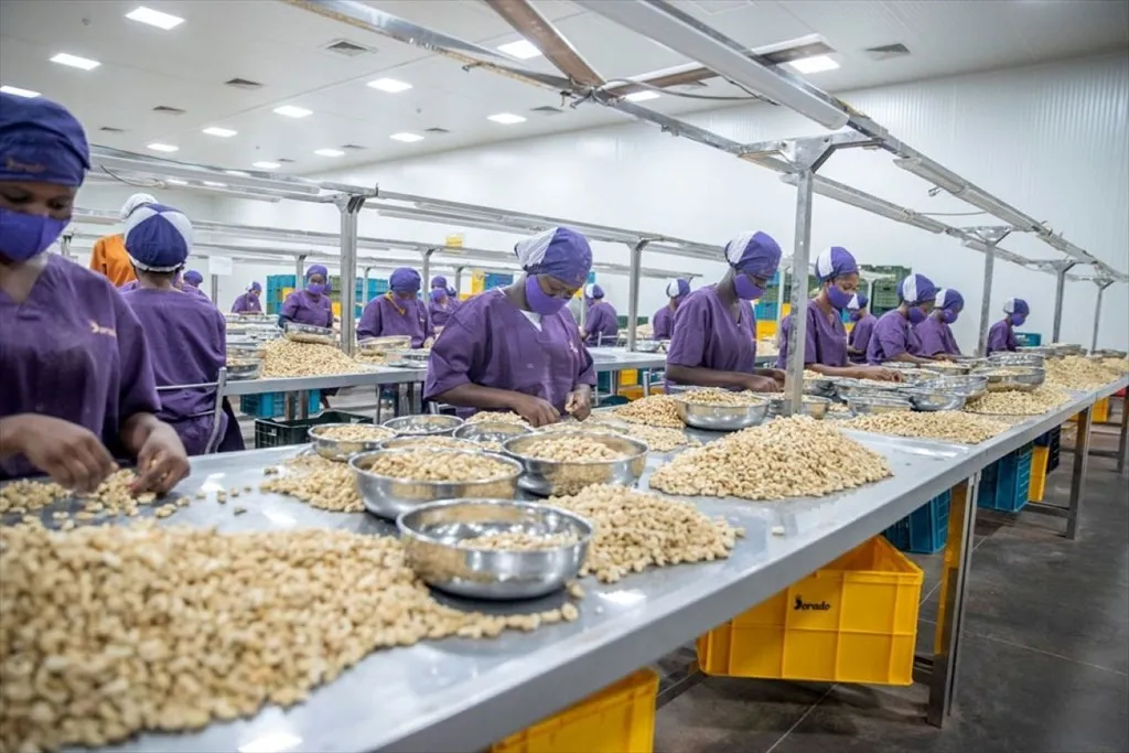 Le libre-échange n’est pas une fin en soi, mais apparait comme un moyen de construire une  économie béninoise plus résiliente, intégrée et prospère