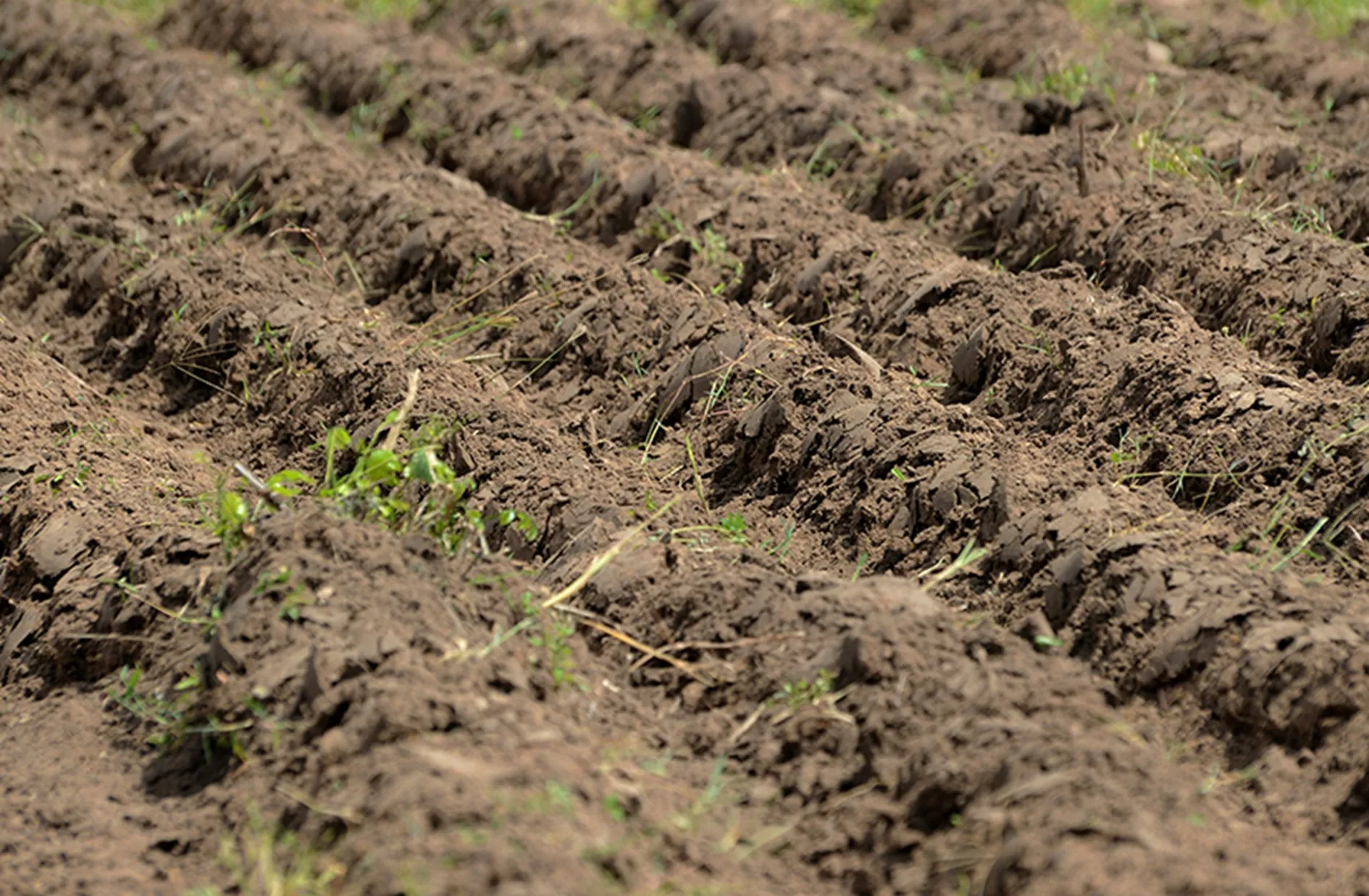 La restauration des terres présente de nombreux avantages socio-économiques