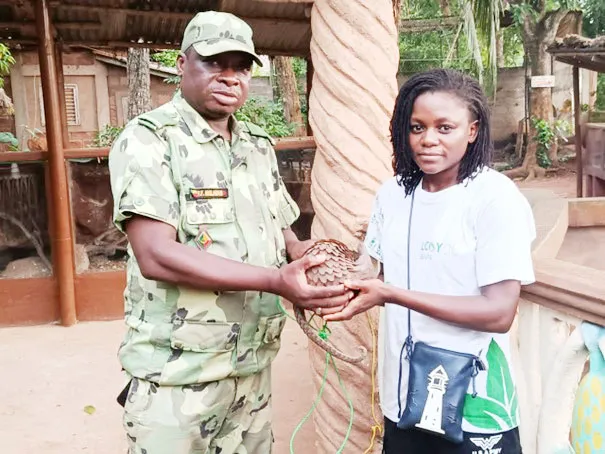Le jeune pangolin officiellement remis au refuge animalier du parc naturel communautaire de la Vallée du Sitatunga