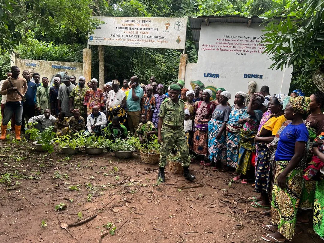 Plus de 3 000 plants de six espèces ont été mis en terre pour restaurer  la forêt sacrée de Tanhounzoun