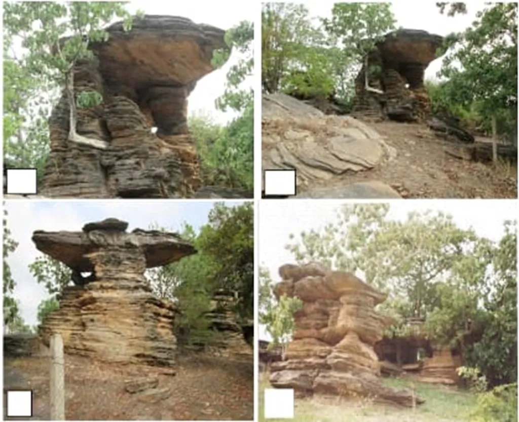 Sur les traces d’un patrimoine naturel et culturel dans l'ombre