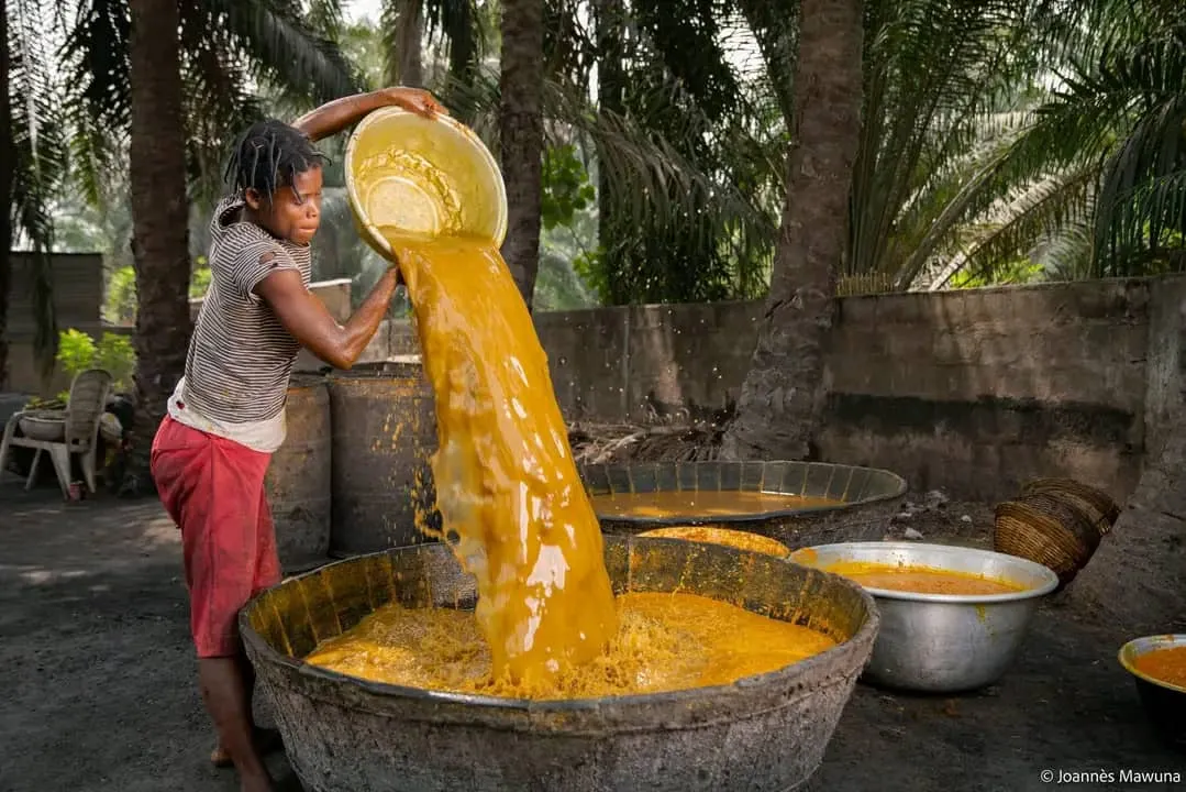 Nutrition au Bénin